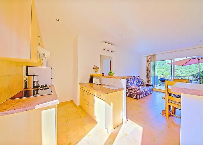 Orasi, Sartene, Dans Climatisee Confort Holiday home Sartene (Corsica)