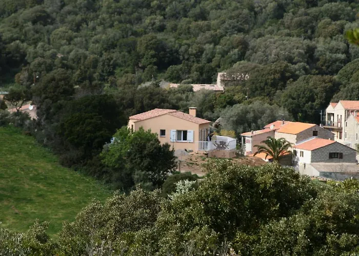 Orasi, Sartene, Dans Climatisee Confort