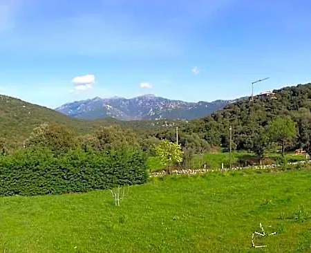 Orasi, Sartene, Dans Climatisee Confort *